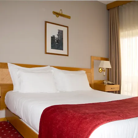 Hotel Rainha D. Amelia, Arts & Leisure-2